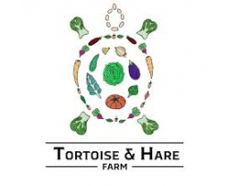 Tortoise & Hare Farm Article Category Image