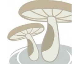 Pebble Creek Produce Article Category Image